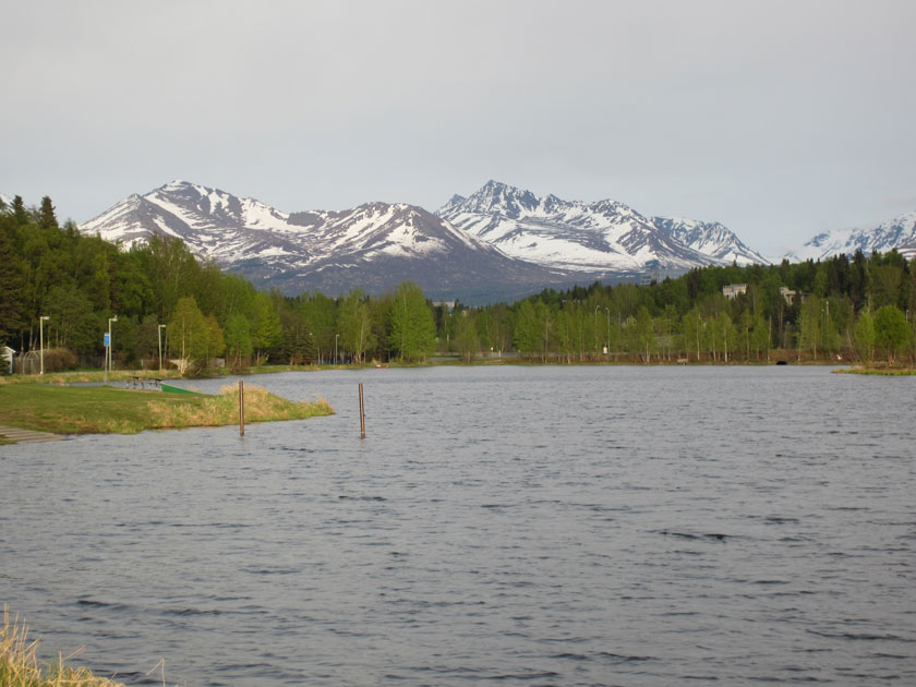 snow-covered mountains across a body of water