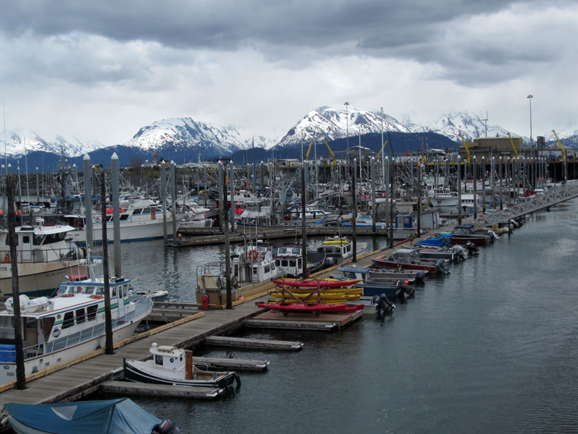 boats in a harbor