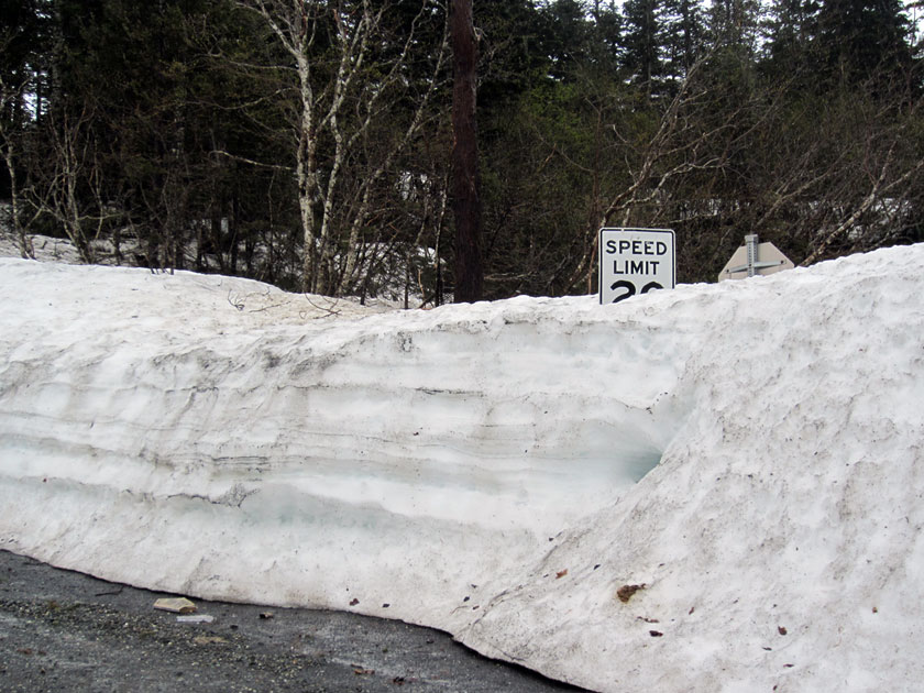 snow covering up a speed limit sign