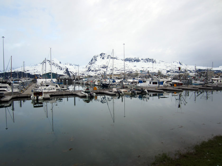 boats in a harbor against snowy mountains