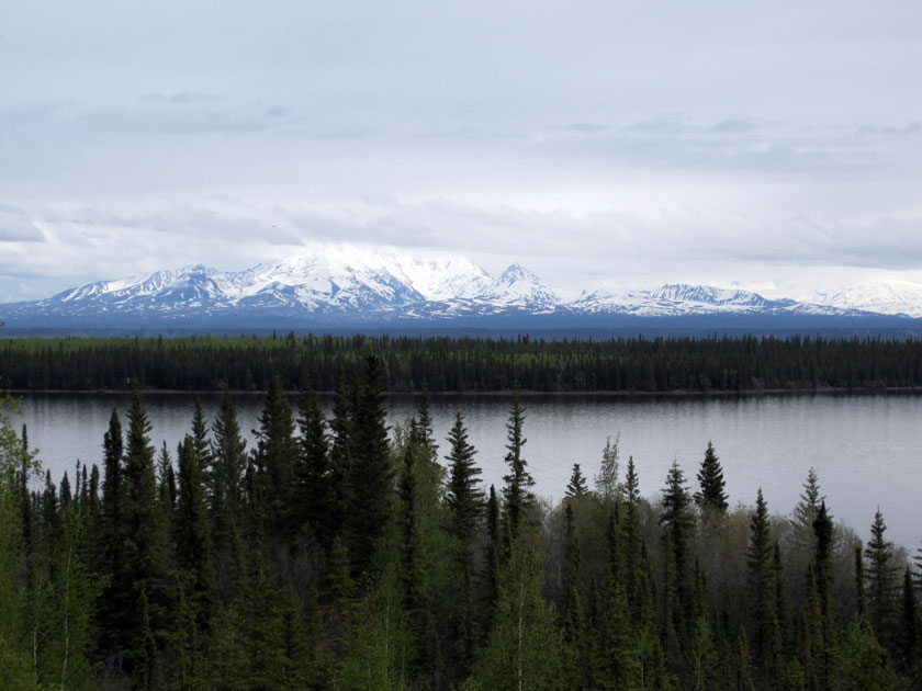 snow-covered mountain behind a lake and trees