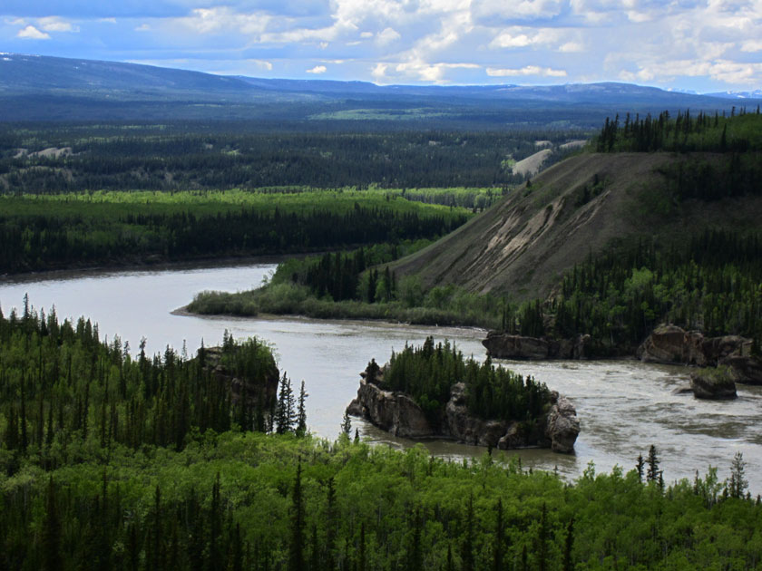close up of a river