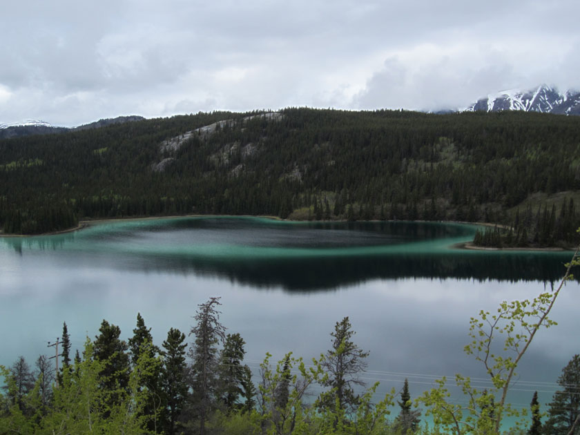 greenish lake with mountains and forest