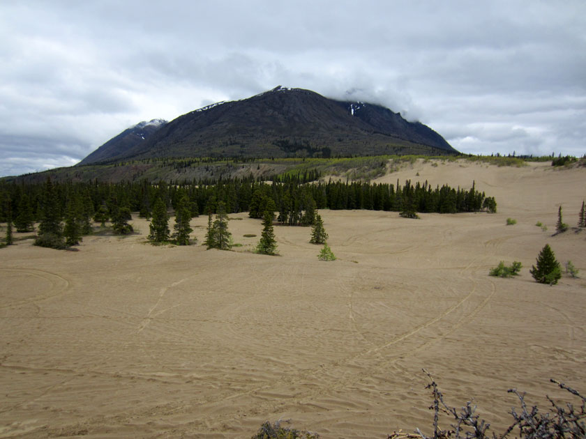 sand dunes with a mountain in the background