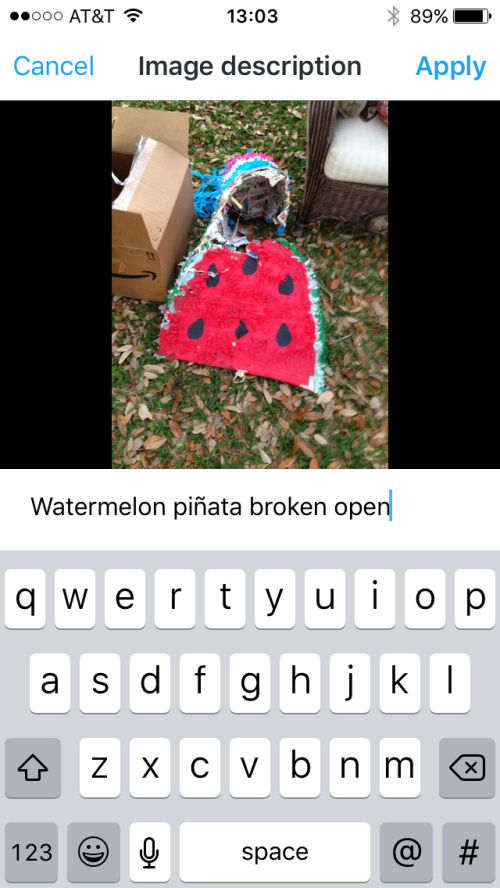 screenshot of the field to type in the image description for a watermelon pinata