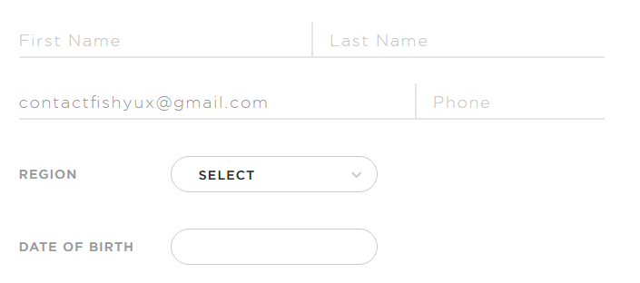 screen shot of a form fields with light gray text on white