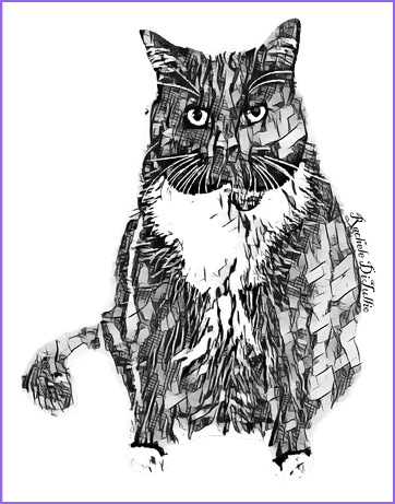 colophon icon for Rachele DiTullio - a sketch of a sitting black and white cat