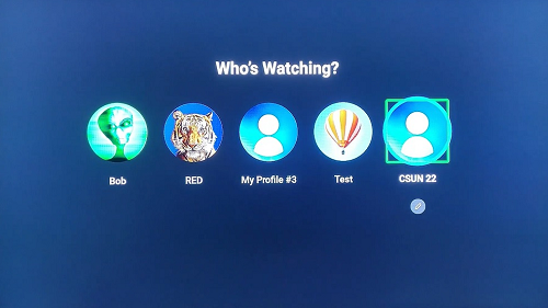 Who's watching? screen with five profiles