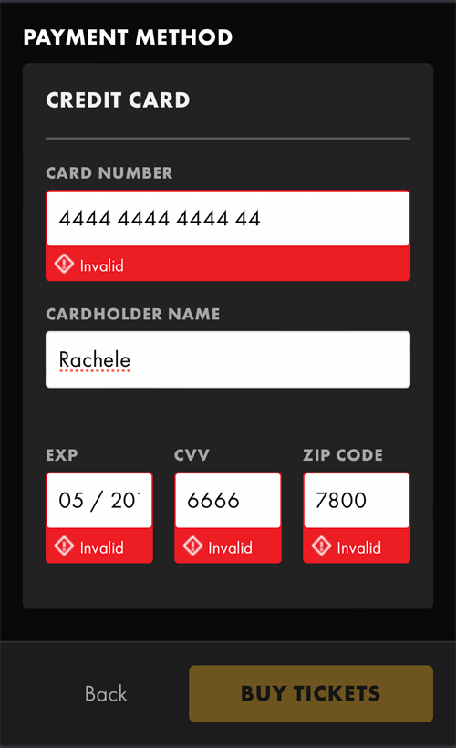 screenshot of the payment screen with bad data entered into several fields which each have an error message of invalid.