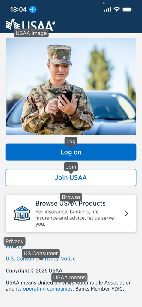 Screenshot of the iOS USAA app login screen with name speech flags displaying next to 7 interactive elements.